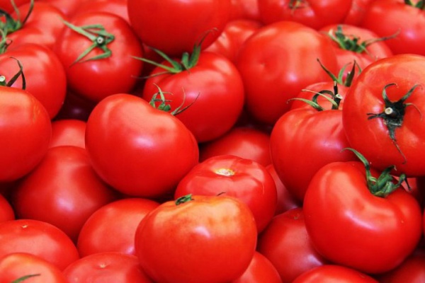 Tehnoagro,obrt za proizvodnju,mehanizaciju i savjetovanje