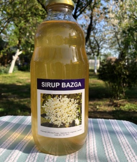 Sirup bazga