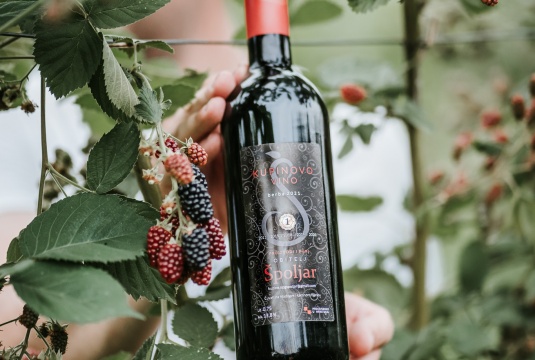 Kupinovo vino