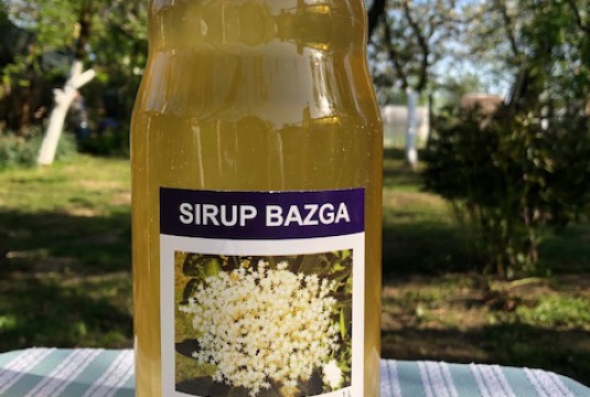 Sirup bazga
